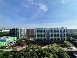 Bidadari Park Drive (D13), Condominium #568200201